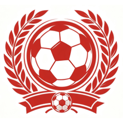 黑白体育直播 Logo